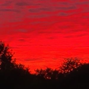 Meet your Posher, Arielle